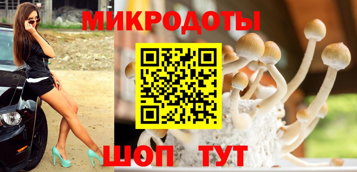Ртищево  Галлюциногенные грибы мицелий  купить закладку  Галлюциногенные грибы MAGIC MUSHROOMS  Вход с VPN 