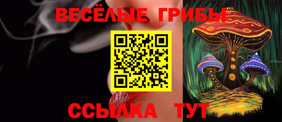 Галлюциногенные грибы прущие грибы Ртищево